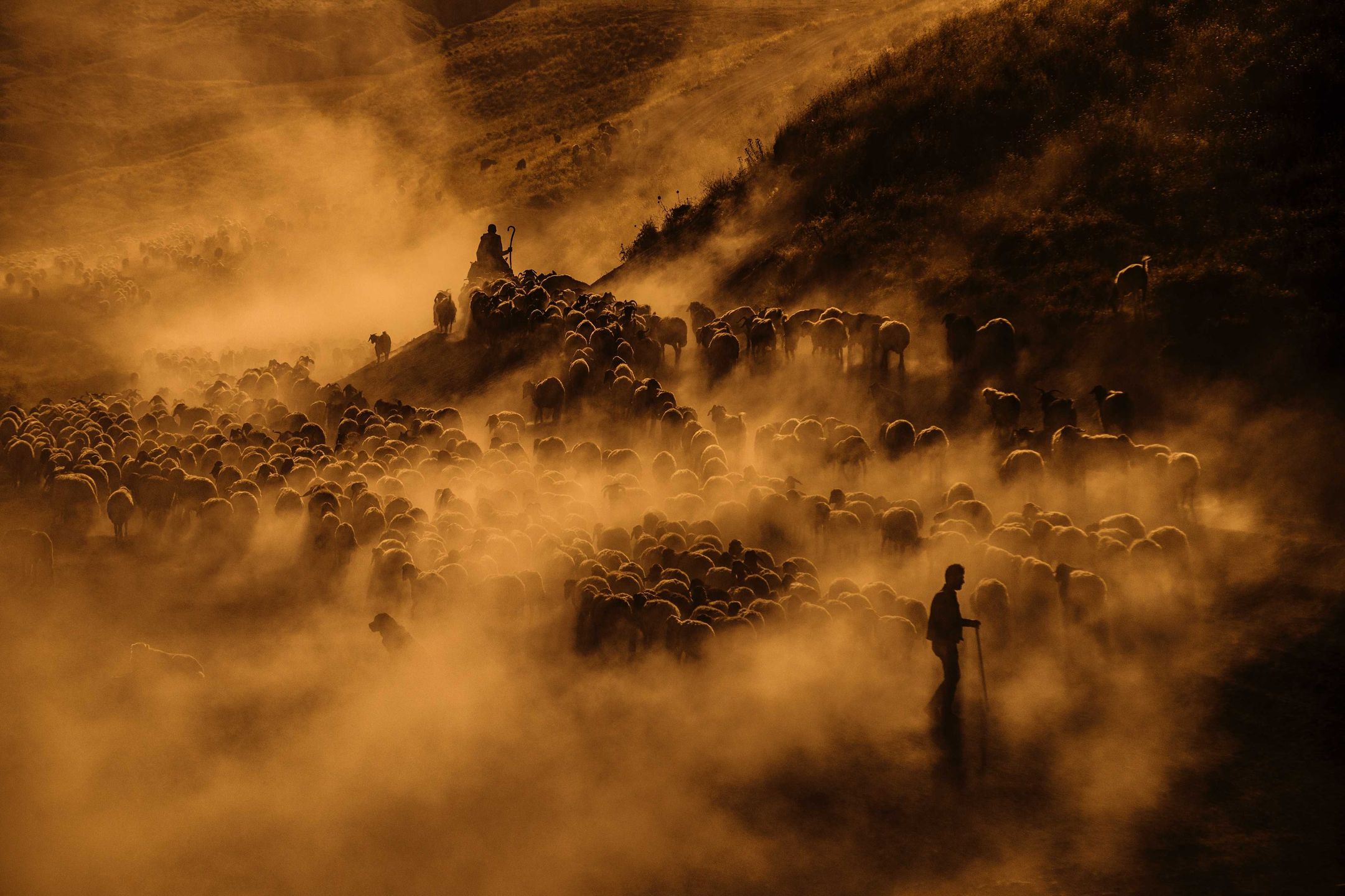 EyeEm Awards 2018 - Polacy wśród finalistów 61