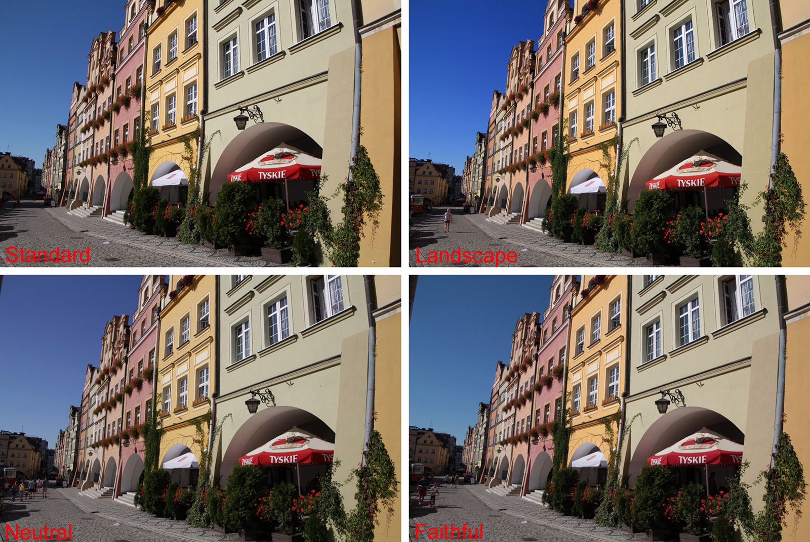 Canon EOS 1300D – lustrzanka bez zadęcia i zobowiązań [test] 5