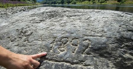 Niemcy. Pokazały się "kamienie głodu". To świadczy o jednym