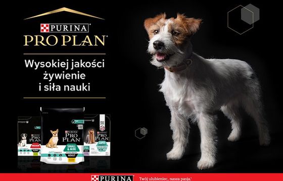 Streetcom ponownie dla Nestlé