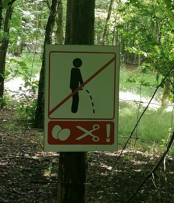Pokazał zdjęcie z lasu. "Od razu odechciało się nam siku"