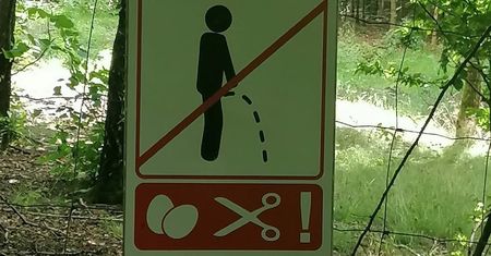 Pokazał zdjęcie z lasu. "Od razu odechciało się nam siku"
