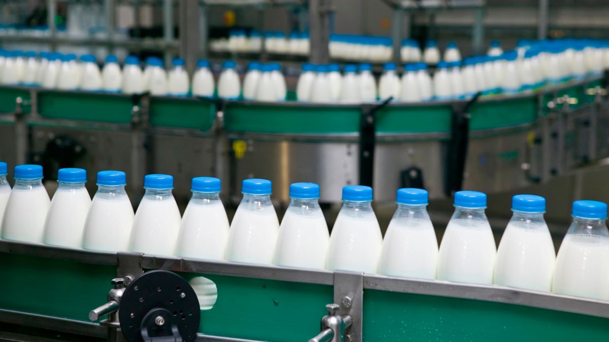 Polscy producenci mleka tracą pozycję w Chinach