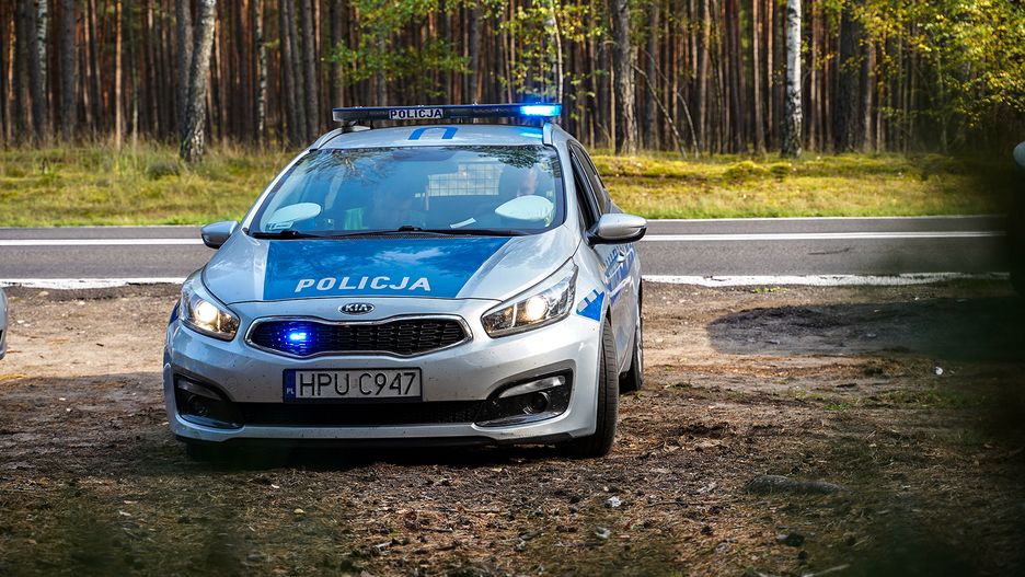 Policja, las, drogówka