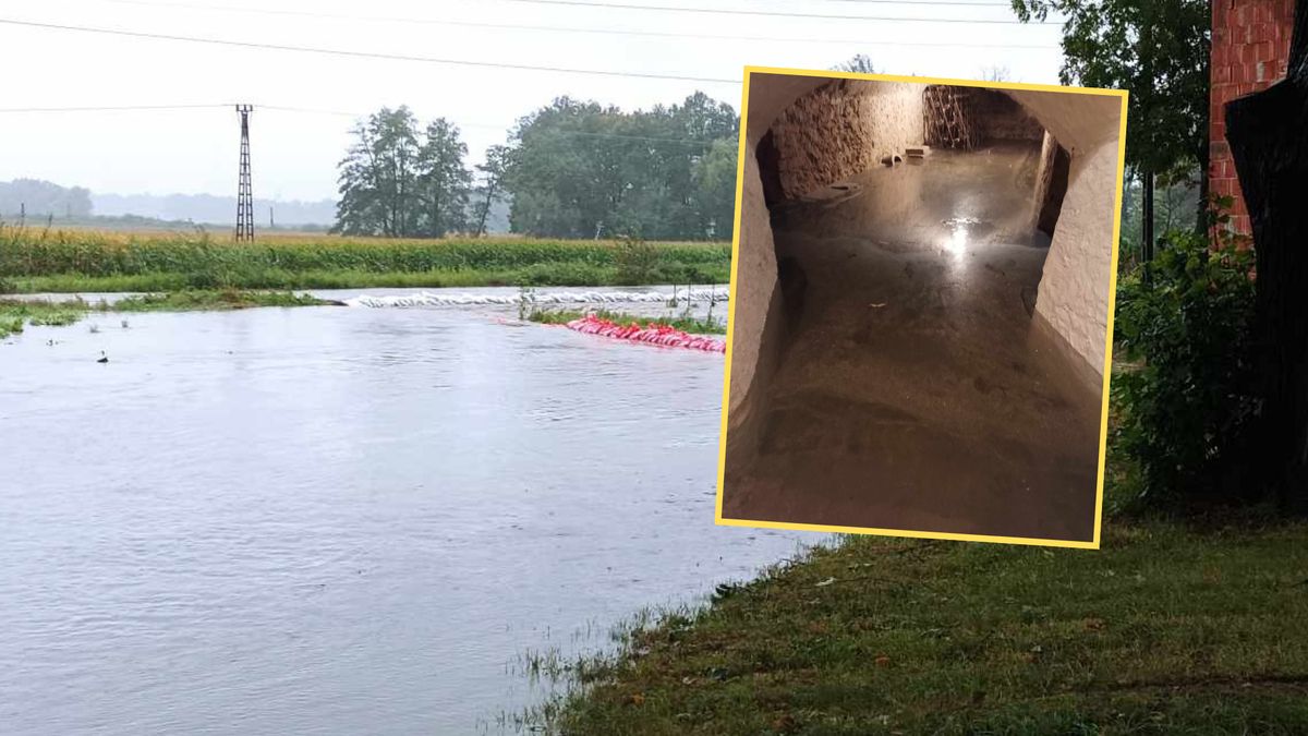 Pałac Nowizna został zamknięty. Zmaga się z m.in. zalaną piwnicą