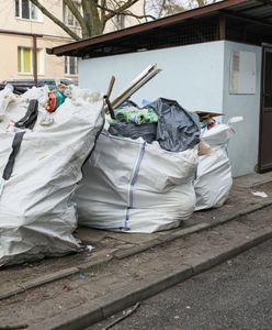 Zmiany w segregacji odpadów. Te śmieci mają trafić do jednego worka