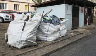 Zmiany w segregacji odpadów. Te śmieci mają trafić do jednego worka