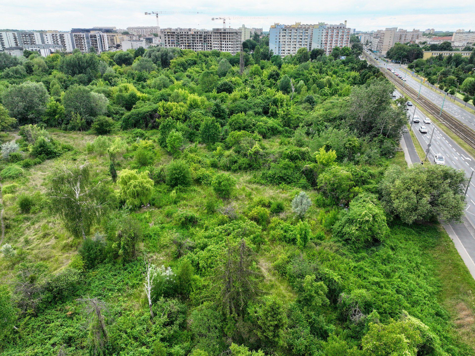Na łazarzu powstanie nowy park? Tego chcą społecznicy i mieszkańcy.