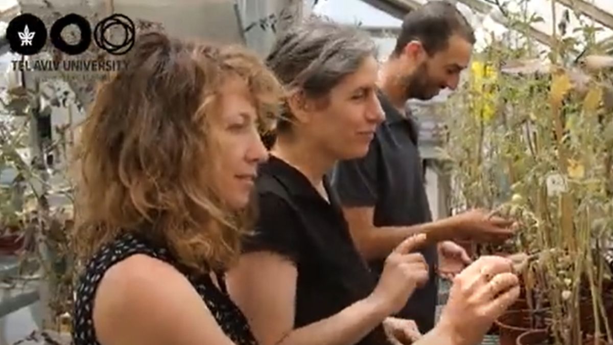 Grupa badaczy, która odkryła tajemnicze dźwięki roślin