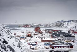 Trump chce Grenlandii. Oto jakie ma powody