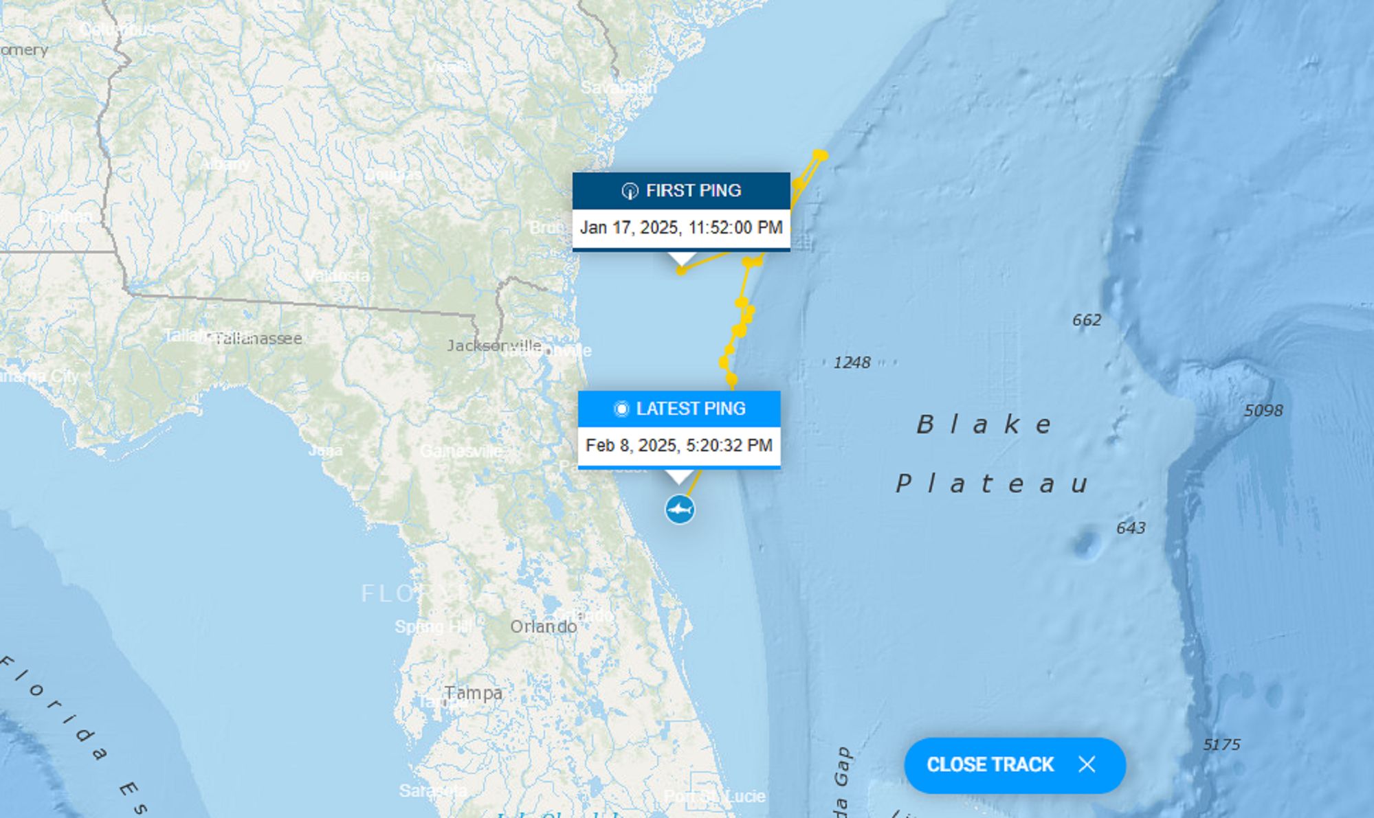 Trasa, którą przemierzył rekin 