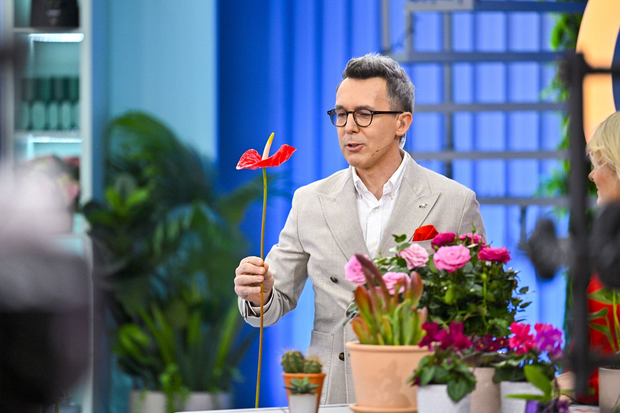 Na zdj.: Maciej Kurzajewski, Fot. AKPAluty 2025, odcinek 71, Telewizja Polsat, halo tu polsat, Maciej Kurzajewski, Polsat, Walentynki, halo tu polsat - odc. 72