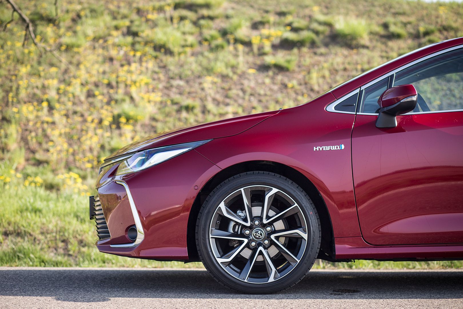 Toyota Corolla sedan 1.8 Hybrid (2019) (fot. Mateusz Żuchowski)