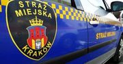 Kraków: Radiowóz uderzył w zaparkowany samochód. Strażnik był pod wpływem alkoholu