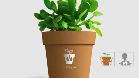 Oddychająca doniczka 1