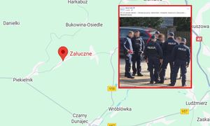 Sceny w Załucznem. Przyjechali energetycy, w ruch poszła siekiera