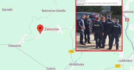 Sceny w Załucznem. Przyjechali energetycy, w ruch poszła siekiera