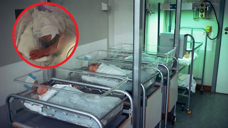 Niezwykłe narodziny w Toruniu