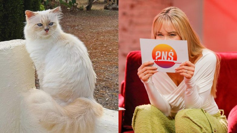 Największe medialne wpadki 2023 r.