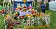 Corso w Chodzieży