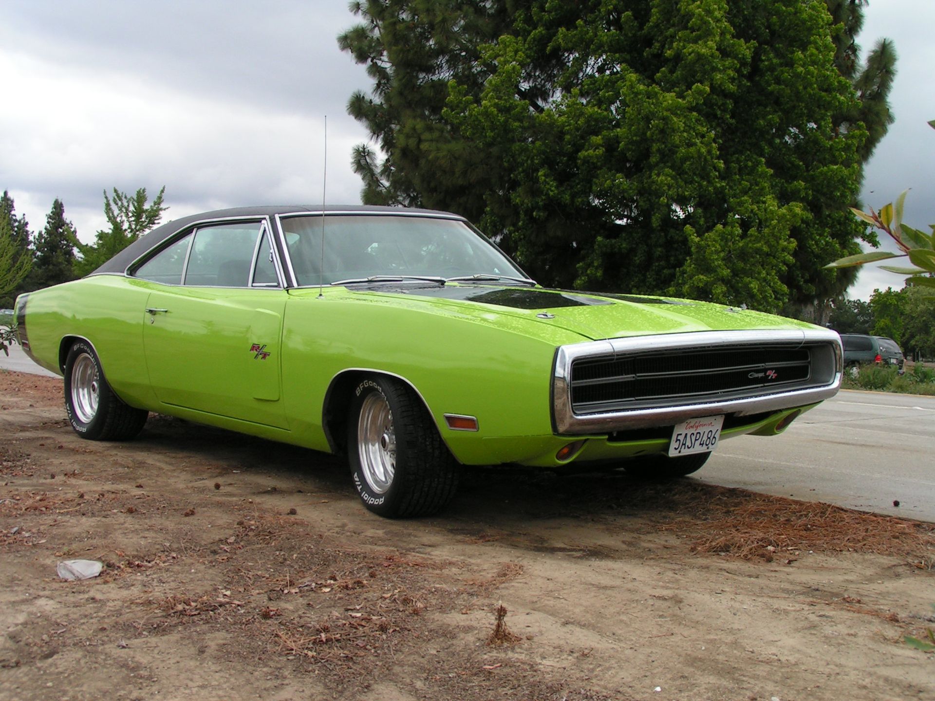 American Muscle - tylko dla prawdziwych mężczyzn! [galeria] 14