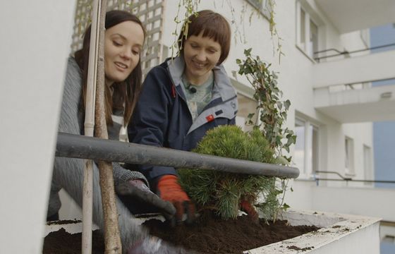 „Twój kawałek ogrodu” - nowy program o metamorfozach balkonów w Domo+