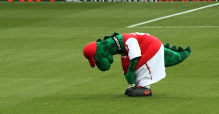 Tyle zarabia maskotka Arsenalu. Więcej niż piłkarki w klubie