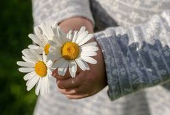 Życzenia na Dzień Matki. Serdeczne wierszyki i rymowanki dla mamy. Najpiękniejsze życzenia na 26 maja