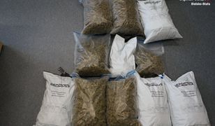 Bielsko-Biała. Cios w narkobiznes, kilogramy marihuany w rękach policji