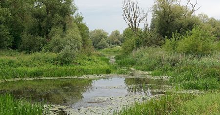 Chcą utworzyć nowy park narodowy w Polsce. Padły ważne deklaracje