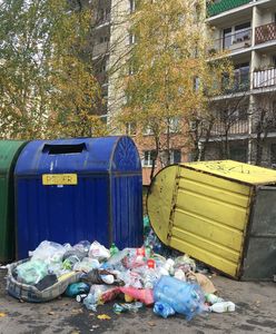 Nie wyrzucaj do zwykłego śmietnika. Kara do 5 tys. zł