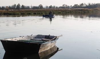 Rzeszów: Informacja o martwym dziku w Wisłoku. Nietypowa akcja WOPR