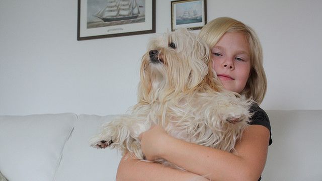 Przytul psa na odległość 1