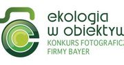 Ekologia w Obiektywie 2009 na murach Barbakanu