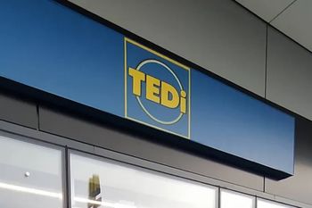 Sztuczna choinka za 45 zł. Świąteczne promocje w TEDi