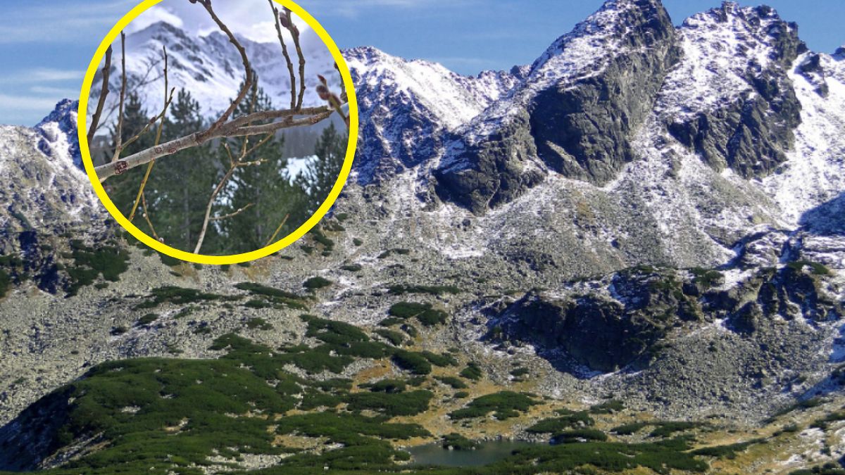 Przyroda w Tatrach budzi się do życia