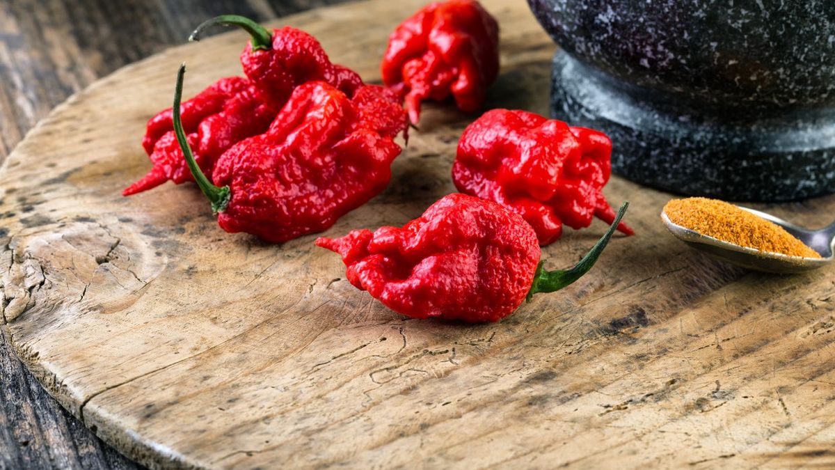 Najostrzejsza papryczka świata - ranking