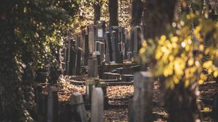 Katowice: Cmentarz żydowski. Charakterystyczna nekropolia na Śląsku