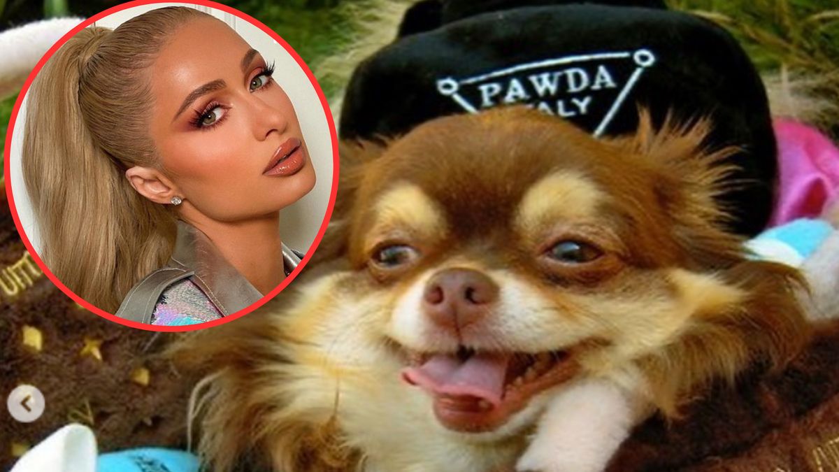 Paris przyznała, że czuje ogromny ból, którego nie da się wyrazić słowami