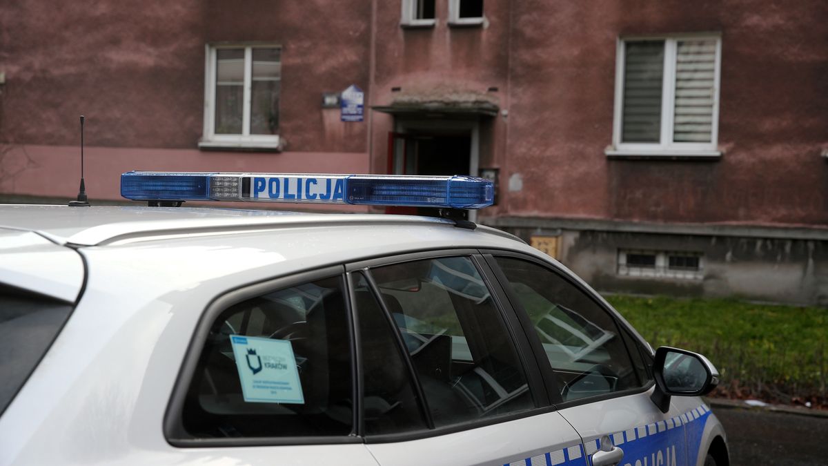 Policja zatrzymała poszukiwaną kobietę. Zdj. ilustracyjne 