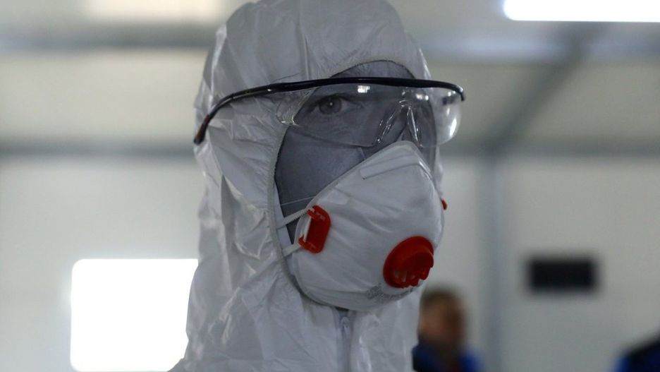 Martwy dzik z ASF podrzucony koło Piotrkowa. Rolnicy z niepokojem czekają na wyniki badań DNA