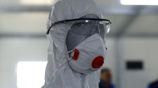 Kolejne martwe dziki z pow. piotrkowskiego zarażone ASF. Hodowcy trzody chlewnej są przerażeni. Trwają rozmowy resortu z Komisją Europejską