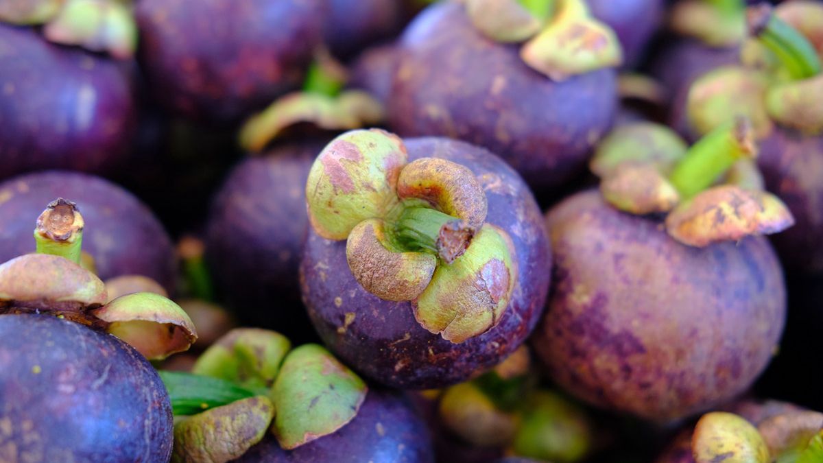 Mangosteen - dlaczego warto sięgać po ten owoc?