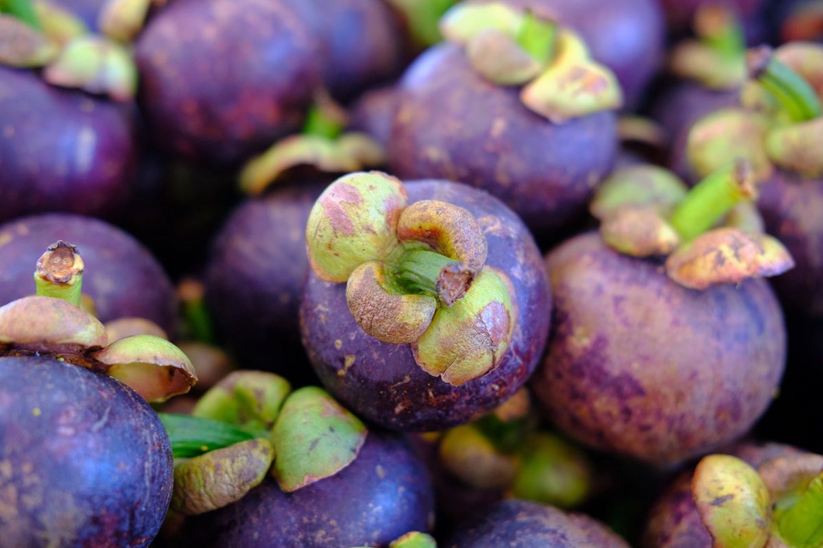 Mangosteen - why is it worth reaching for this fruit?