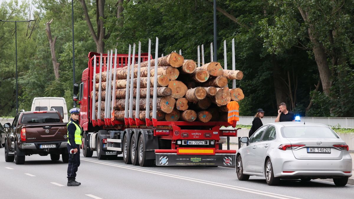 Akcja Greenpeace w Warszawie
Fot. Adam Burakowski/East News, Warszawa, 24.06.2024. Akcja Greenpeace w Warszawie, dotyczaca wycinki lasow. Aktywisci wyslali to Warszawy ciezarowke ze scietymi drzewami. Drewno ma byc zalacznikiem do petycji, w ktorej Greenpeace domaga si? od premiera Donalda Tuska spelnienia jego obietnicy i jak najszybszego, trwalego wylaczenia z wycinek 20 procent polskich lasow.
Adam Burakowski