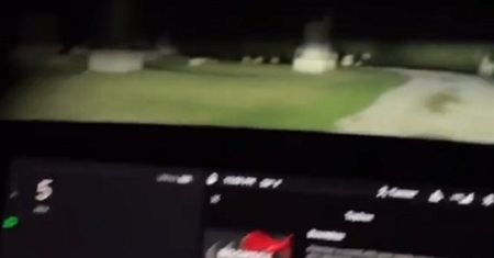 Wjechał Teslą na cmentarz. System wykrył ludzi chociaż było pusto