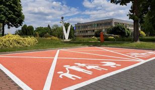 Tychy. Różowe miejsca parkingowe, specjalnie dla kobiet w ciąży i nowych rodziców