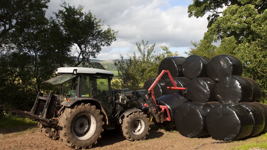 Traktor, rolnictwo, bele, siano
