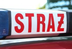 Poznań. Płonie hala firmy BROS. Dym widać z kilku kilometrów