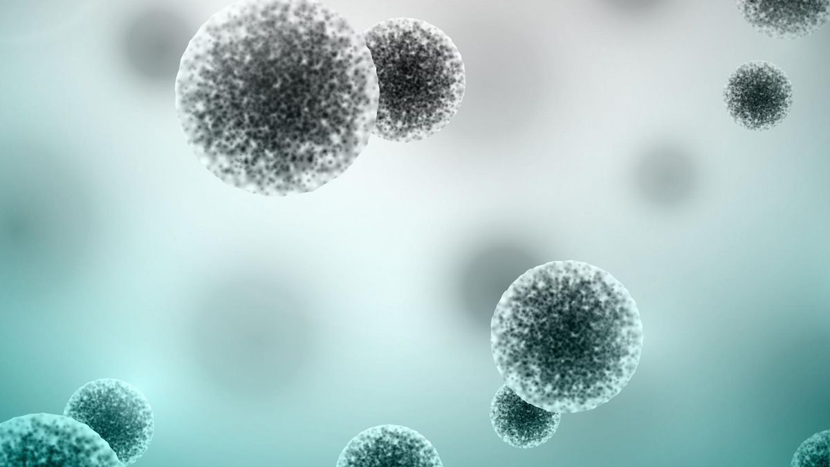 Bakterie probiotyczne LA-5 i BB-12